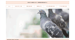 Desktop Screenshot of ctc-tv.biz